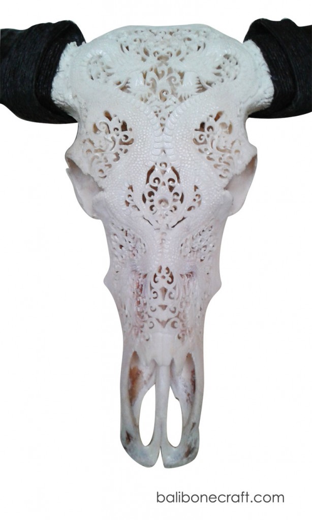 Buffalo skull carving -016 produced by Bali Bone Craft