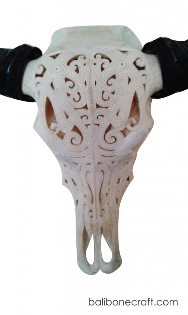  Buffalo skull carving 018 produced by Bali Bone Craft